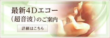 最新4Dエコー (超音波)のご案内