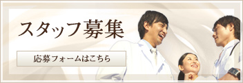 スタッフ募集